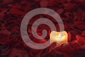 Candle on the rose petals background