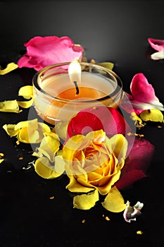 Candle and Roses