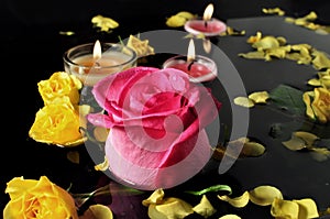 Candle and Roses