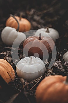 Candle in the shape of a pumpkin on a background