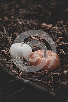 Candle in the shape of a pumpkin on a background