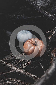 Candle in the shape of a pumpkin on a background