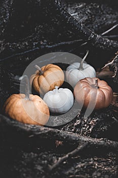 Candle in the shape of a pumpkin on a background