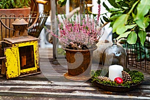 candle under glass cap on stand on wooden table and flower in pot.