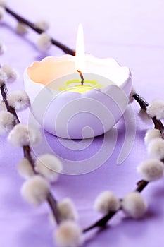 Candle and willow