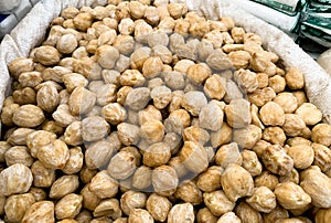 Candlenut (Aleurites moluccana (L.) Wild.), is a plant whose seeds are used as a source of oil and spices.