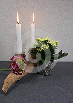 Candles with calanchoe potplant and ranunculus home decoration