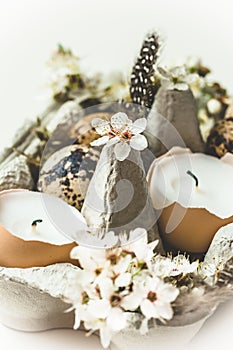 Pasqua decorazioni candele conchiglie quaglia uova un bianco albero di mele fiori sul di legno vassoio 