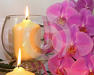 Candles Shine on Orchids