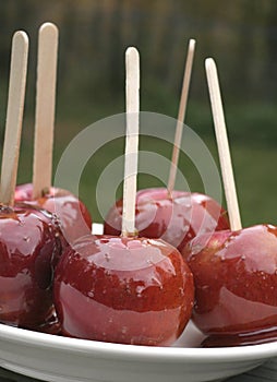 Candy Apples