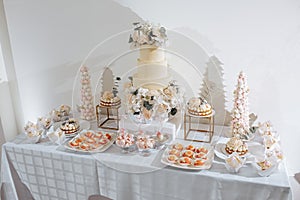 Candy bar at the banquet. Wedding table with sweets, cake, pastries, muffins, sugar treats. Event in the restaurant