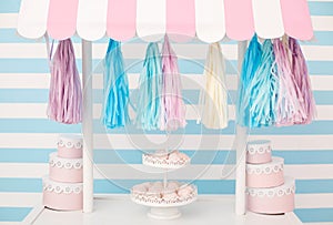 Candy bar. Decor for baby`s or child`s Birthday party.