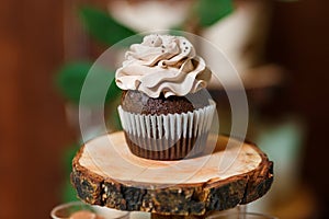Candy bar on wooden wedding party with a lot of different candies, cupcakes, souffle and cakes
