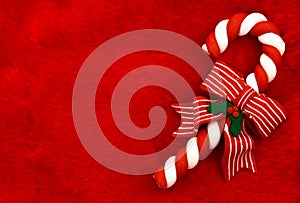 Candy Cane photo