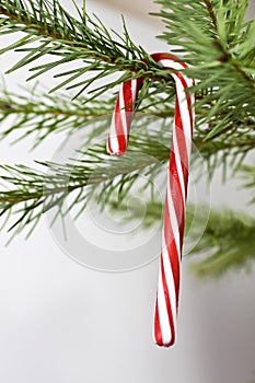 Candy Cane Holiday Decoration