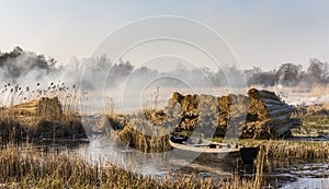 Cane with Boat Giethoorn