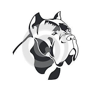 Cane Corso dog logo. photo