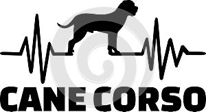 Cane Corso heartbeat word