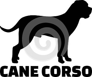 Cane Corso silhouette real word