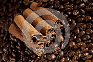 Canella sticks and coffee grains photo