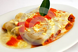 Canelones Italian Dish Bolognese