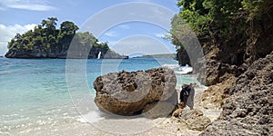 This Canggu stone beach, the traveler not only can witness the existence of a unique temple also has a sloping area that can be us