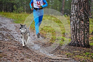 Canicross dog mushing race