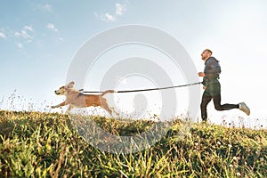 Canicross exercises. Man runs with his beagle dog. Outdoor sport activity with pet photo