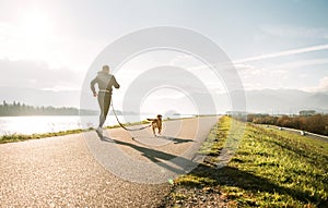 Canicross exercises. Outdoor sport activity - man jogging with his beagle dog