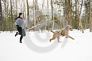 Canicross Sled Dogs Pulling the Young Womanin winter season