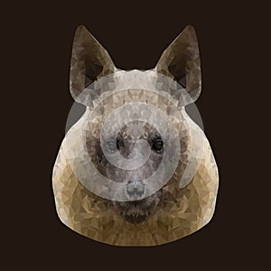 Canine beast of pray vector portrait