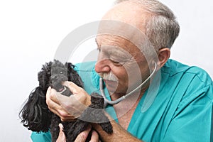 Canine Doctor and Patient