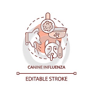 Canine influenza terracotta concept icon