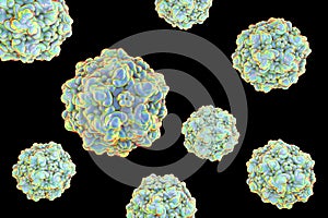 Canine parvovirus, illustration. A virus which causes intestinal and cardiac infections in dogs