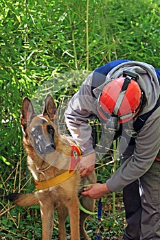 Canine unit of civil defence