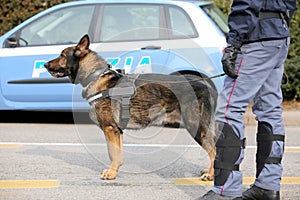 Canine Unit of the Italian police for the detection of explosive
