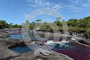 Canio Cristales mountain river. Colombia