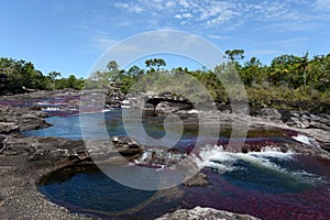 Canio Cristales mountain river. Colombia