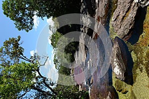 Canio Cristales mountain river. Colombia