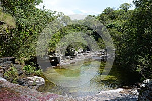 Canio Cristales mountain river. Colombia