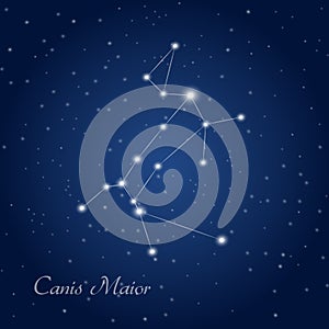 Canis Maior constellation