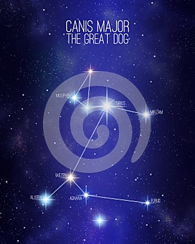 Canis Major the great dog constellation on a starry space background