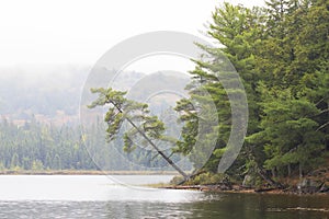 Canisbay Lake in Algonquin Park, Canada