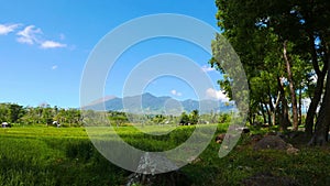 Canlaon volcano view from rice paddies timelapse