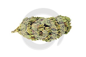 Cannabis bud isolated on white