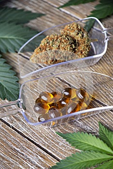 Cannabis dried flower and medical marijuana pills