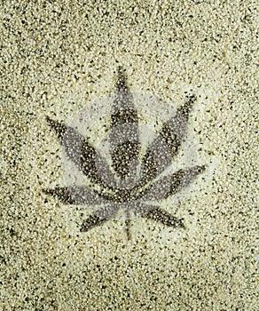 Cannabis hemp seeds leaf close up background