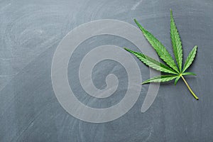 Cannabis leaf