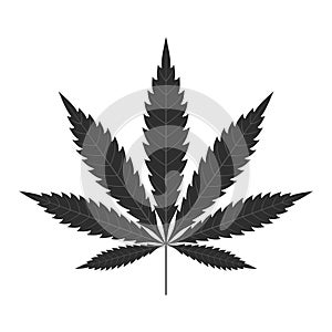 Cannabis leaf icon. Black silhouette indica sativa isolated white background. Herbal medicine herb plant. Natural weed