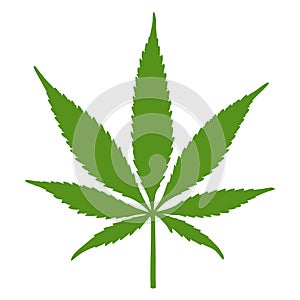 Cannabis leaf Marijuana